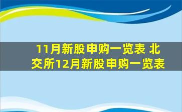 11月新股申购一览表 北交所12月新股申购一览表